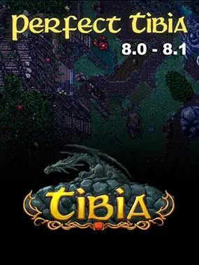 Perfect Tibia